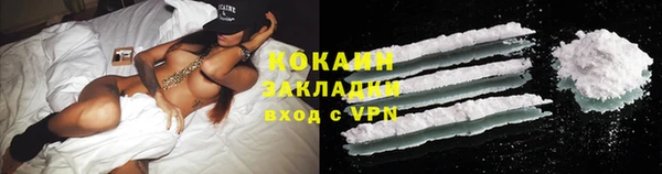 прущая мука Вяземский