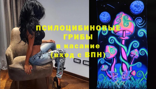 крисы Вязники