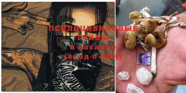 крисы Вязники