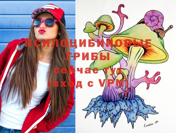 прущая мука Вяземский