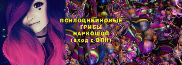 прущая мука Вяземский