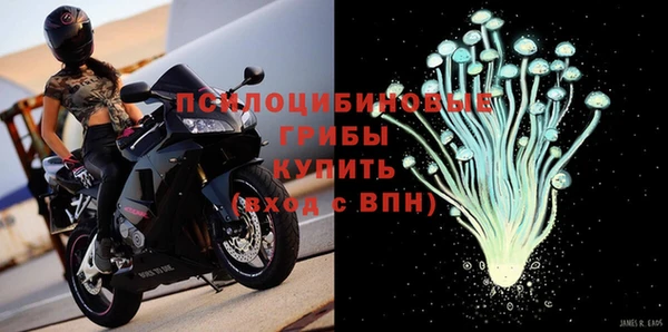 прущий лед Тайга